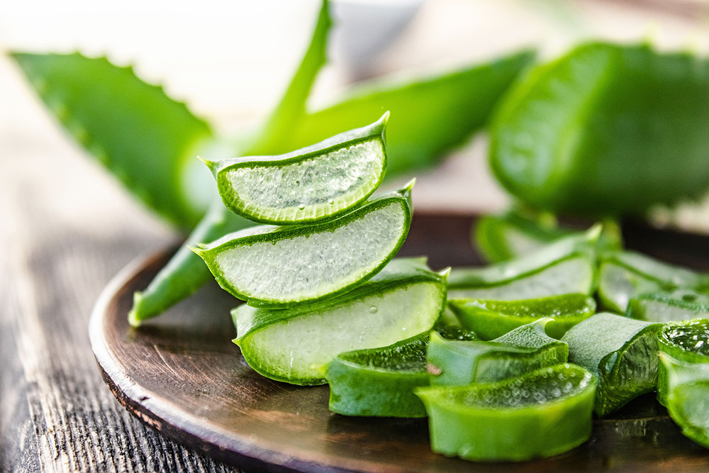 Aloe Vera Benefits for Face and Skin